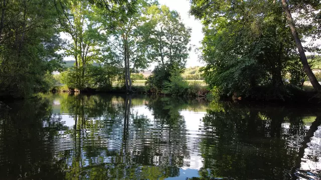Tauberrettersheim
