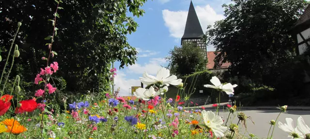 Sommer in Aspach
