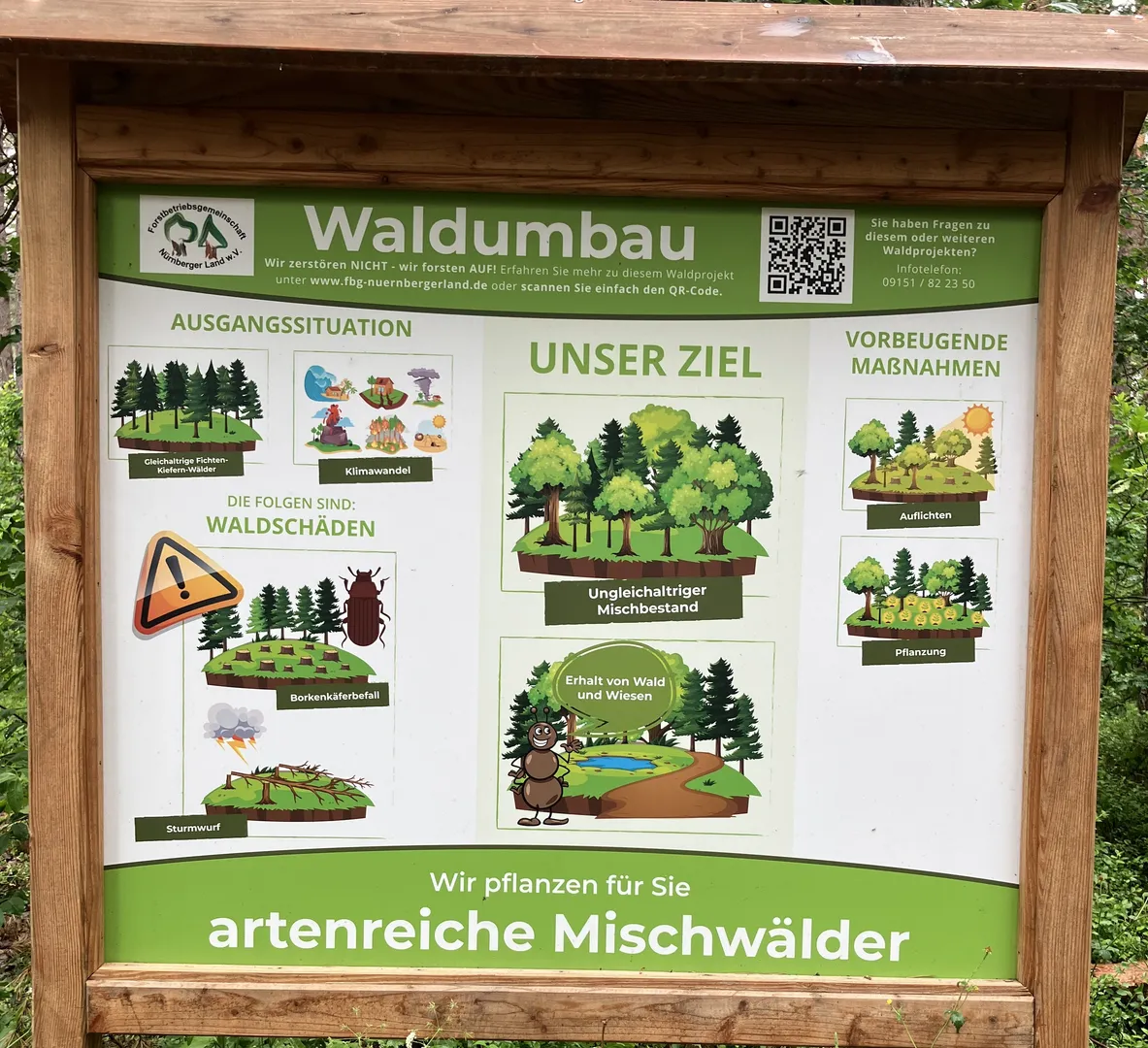 Waldarbeiten im Rahmen der nachhaltigen Waldbewirtschaftung an der Kreisstraße zwischen Neunkirchen und Speikern🌳