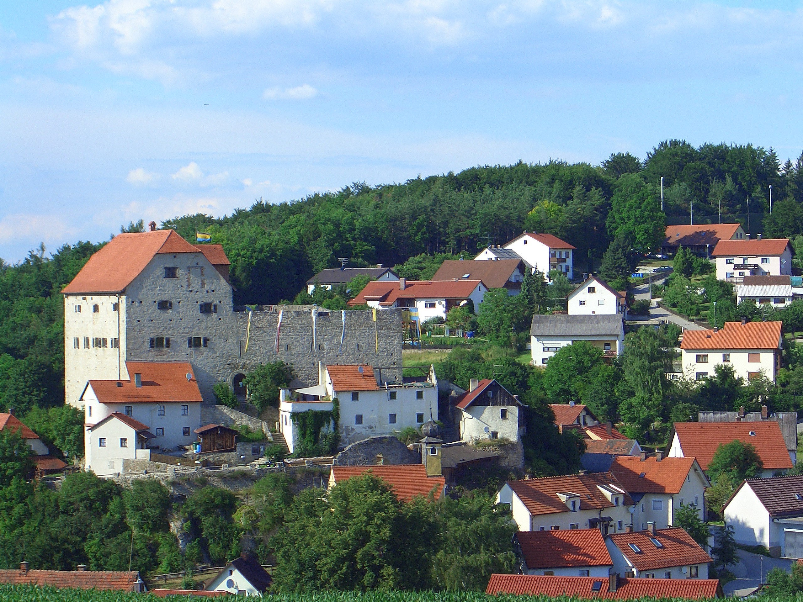 Burgansicht von Stetten kommend