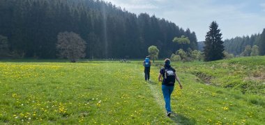 Zwei Wanderer mit Rucksäcken unterwegs auf einem schmalen Weg durch eine blühende Wiese. Im Hintergrund erstreckt sich ein dichter Wald unter blauem Himmel.