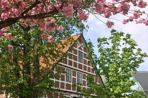 Rathaus