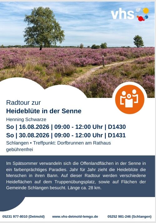 Heideblüte 2