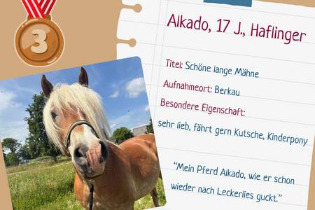 platz 3