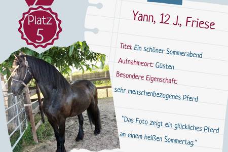 platz 5