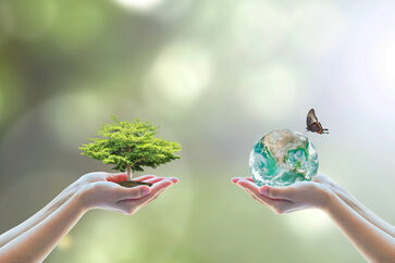 Umwelt, Naturschutz, Natur, Klima, Klimaschutz