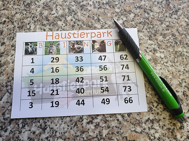 Bingolos mit Kugelschreiber