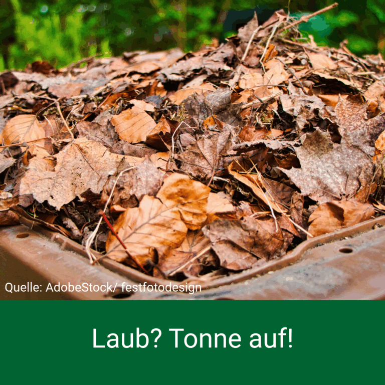 Sparen Sie Zeit und Wege: Jetzt Biotonne nutzen