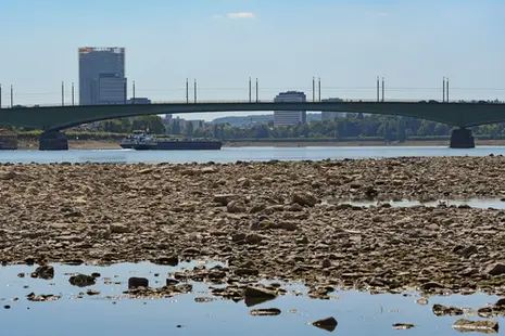 Am 03. August lag der Pegel des Rheins in Bonn bei 110 cm
