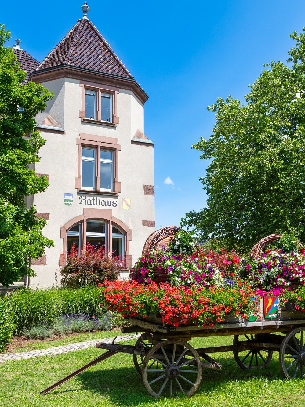Bild Rathaus