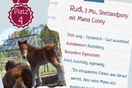 platz 4