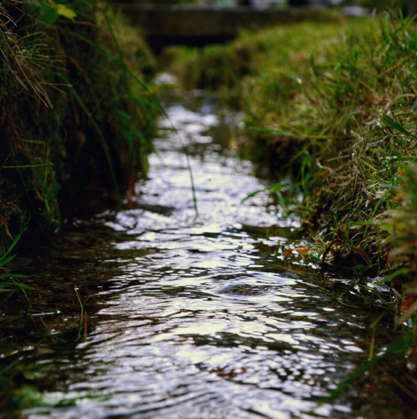 Bachlauf