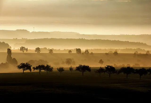 Landschaft im Nebel
