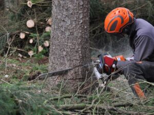 Waldems warnt vor Waldbrandgefahr: Motorgeräteverbot im Wald
