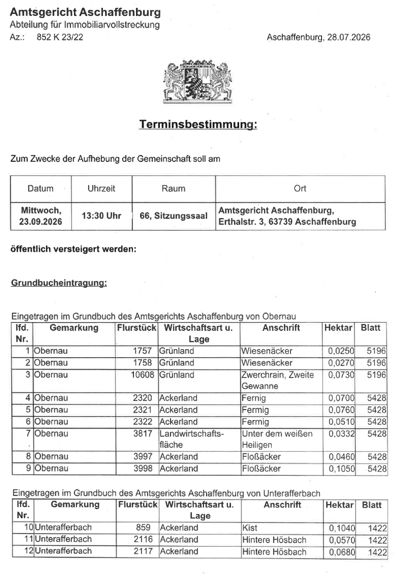Versteigerung-1