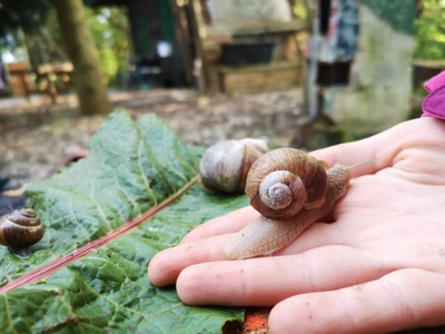 Familienzeit im Grünen: Wildniss entdecken, Klimaschutzheld werden