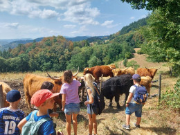 Sommerferienprogramm