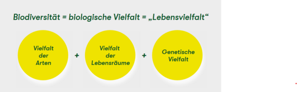 Bild vergrößern: Grafik Definition Biodiversität