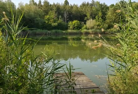 Angelsee Bottloch mit Holzsteg.