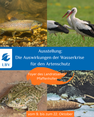 Die Folgen der Wasserkrise für den Artenschutz