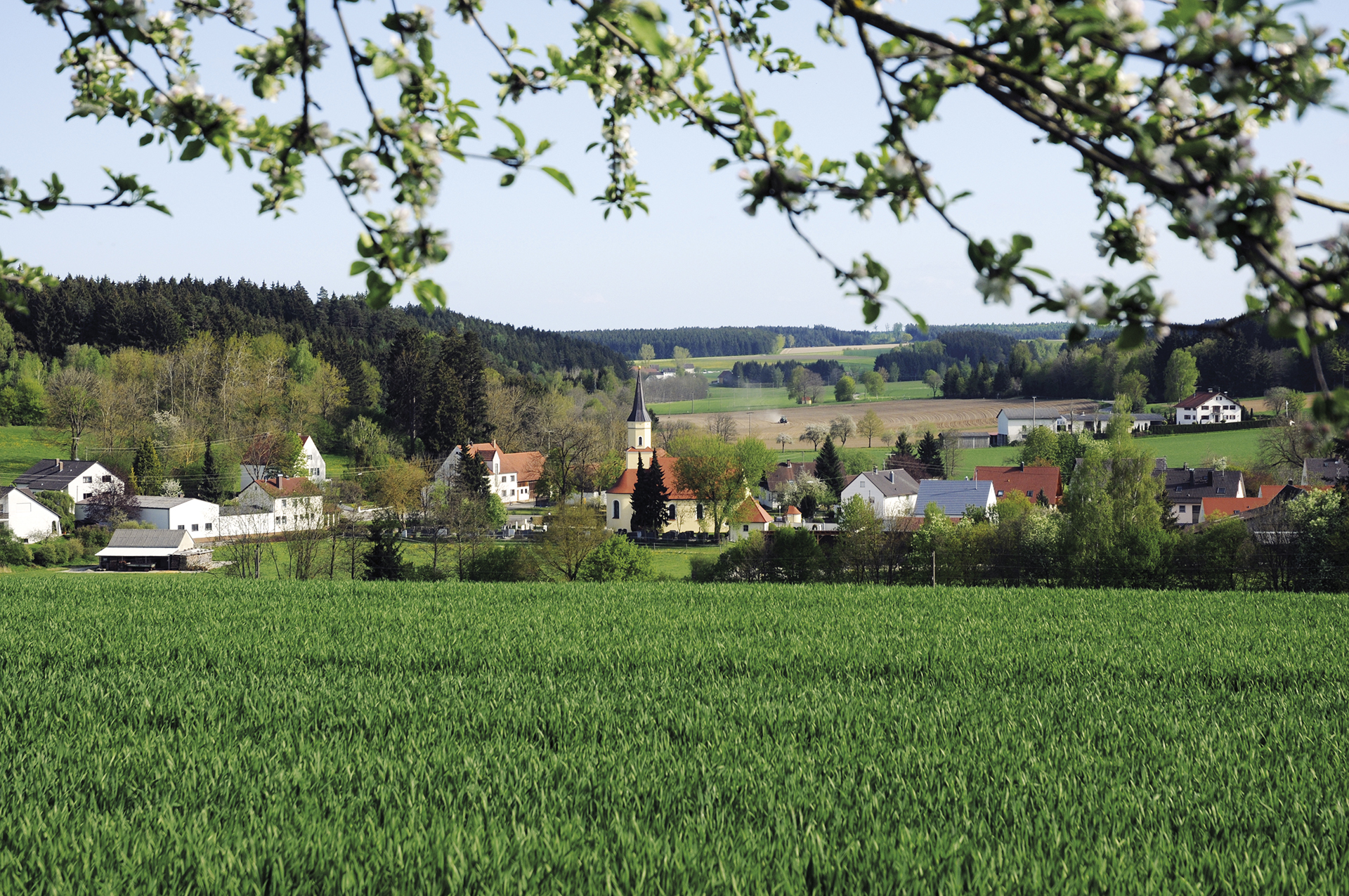 Affaltern