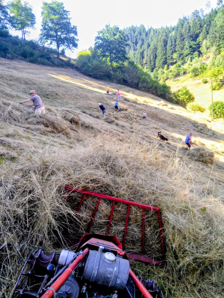 Bild von einer abgemähten Wiese mit Helfer und Einsatzmaschine