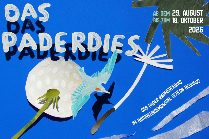 Paderdies