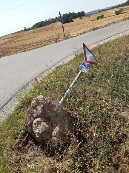 Schild