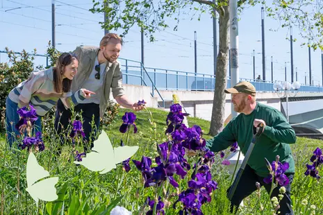 Zwei junge Menschen bewundern Blumen vor der Bonner Kennedybrücke. Im Vordergrund ein Gärtner, der an den Blumen arbeitet.