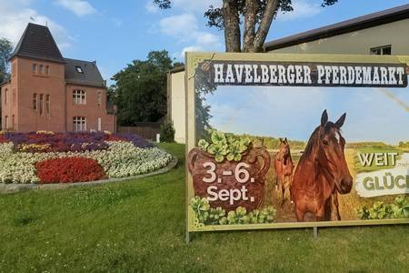havelberger pferdemarkt gru tafel motiv 2026