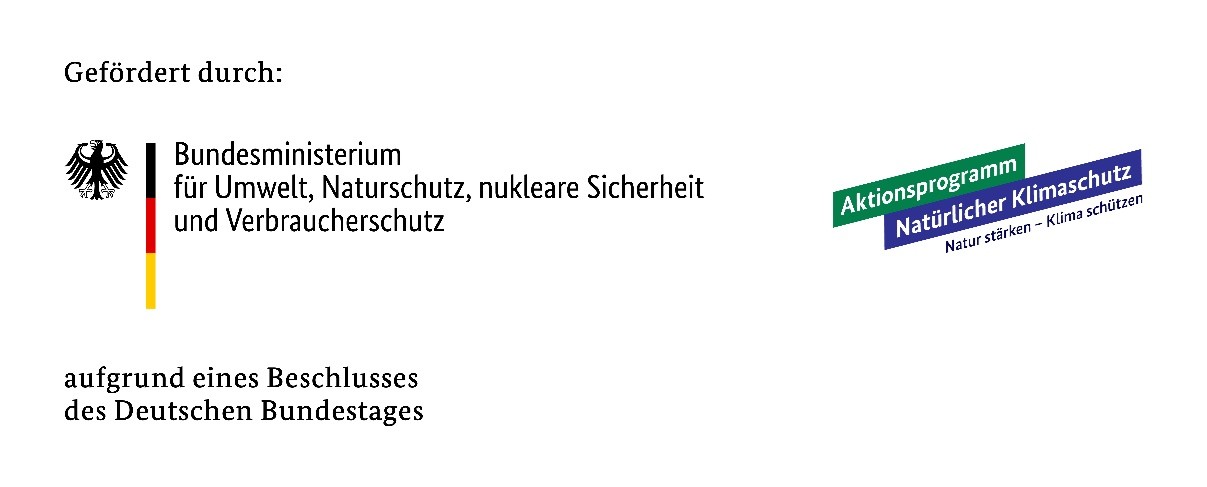 Logo Bundesministerium für Umwelt, Naturschutz, nukleare Sicherheit und Verbraucherschutz