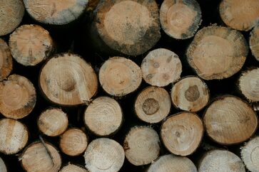 Symbolfoto Holz