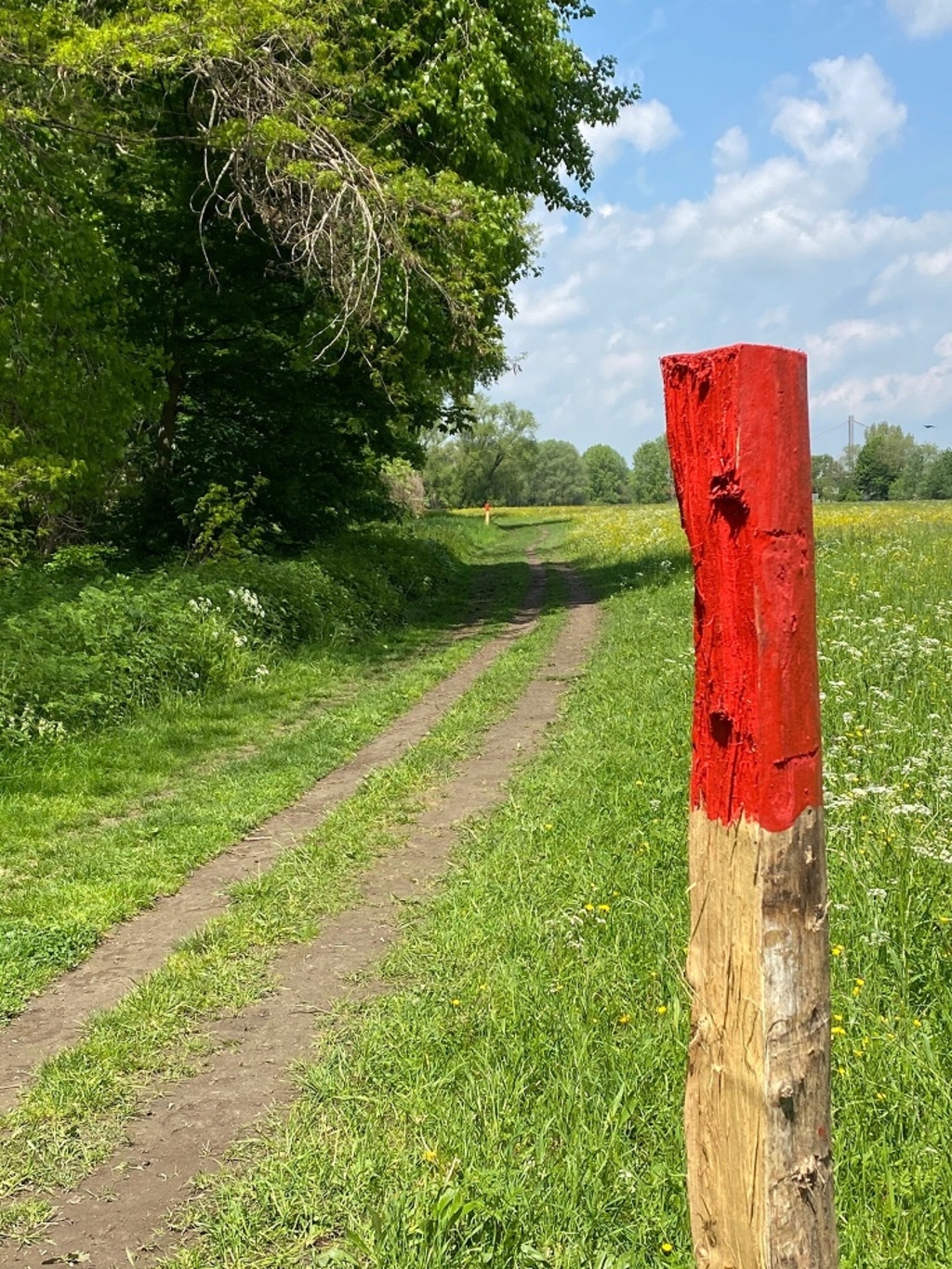Wegemarkierung im Naturschutzgebiet