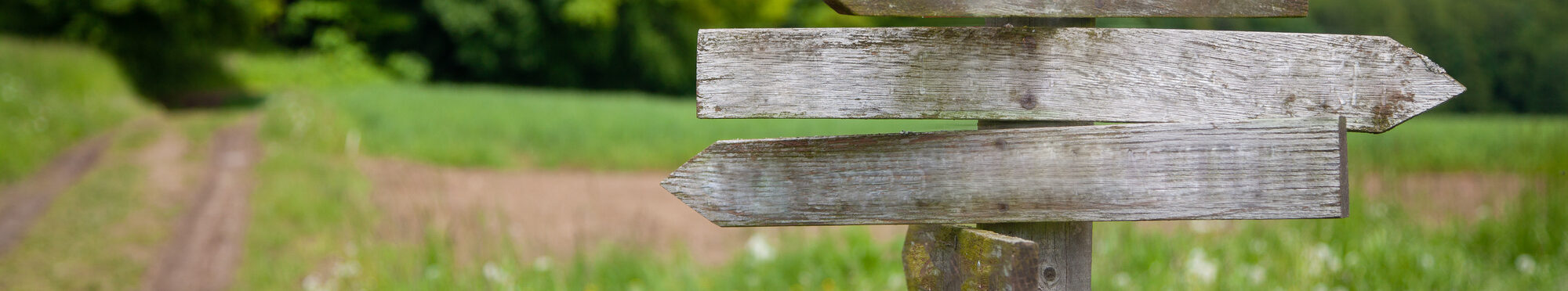 old weathered and mossy signpost with path and forest landscape in the blurred background