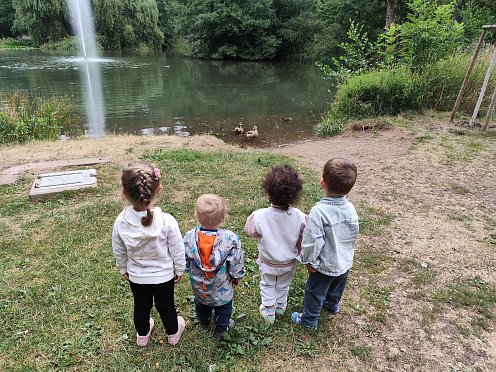 Bild: 4 kleine Kinder von hinten fotografiert, wie sie Enten auf einem Teich angucken.