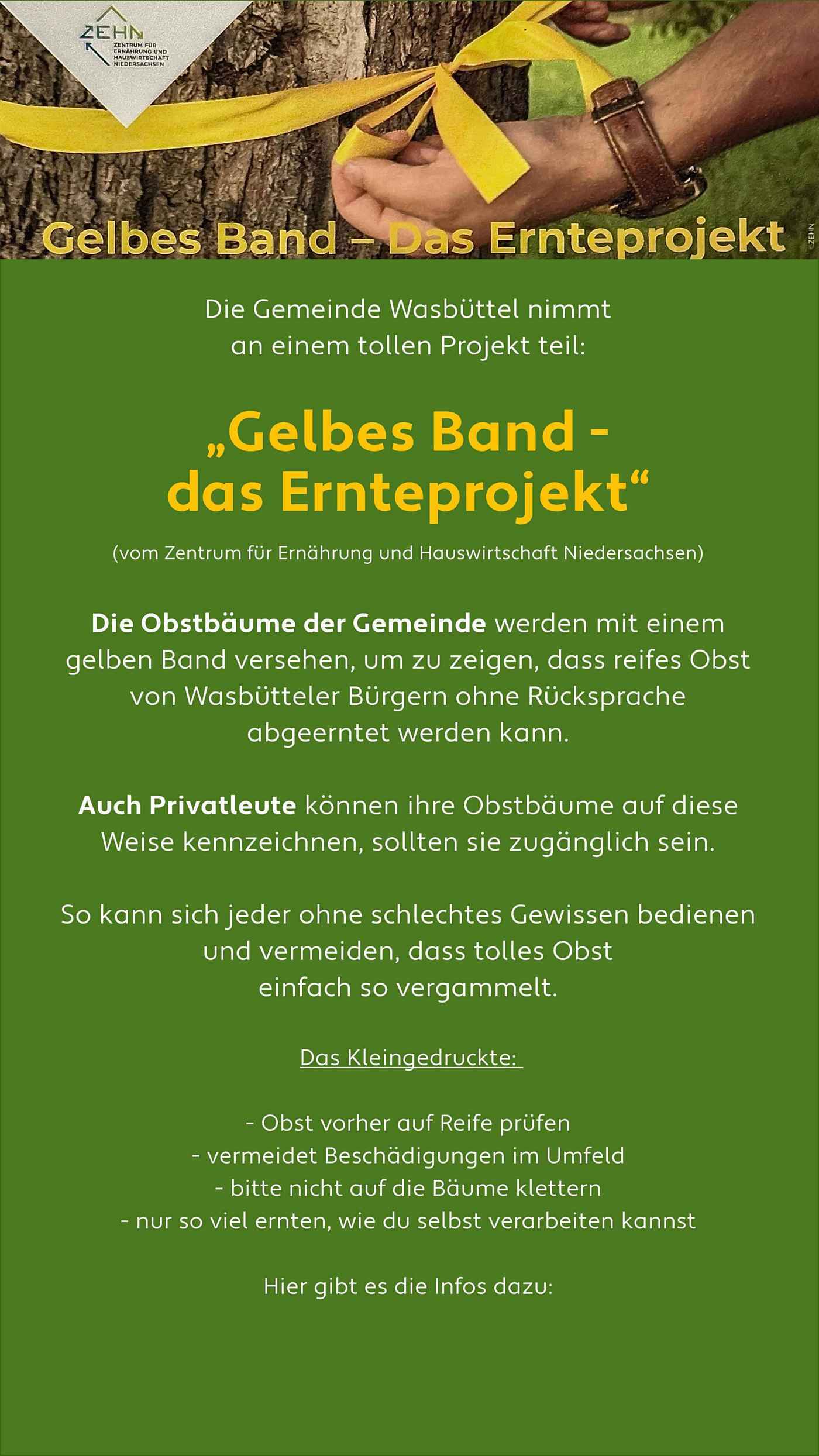 2026 06 25 GelbesBand
