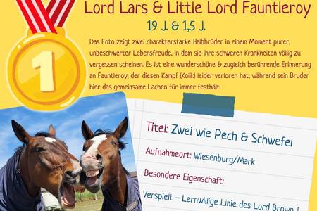 platz 1