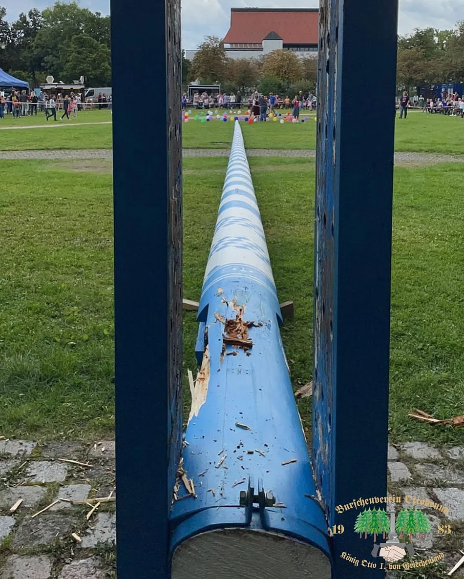 Maibaum wird umgelegt