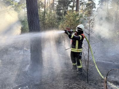 Ein Feuerwehrmann löscht im Wald mit einem Schlauch über der Schulter.