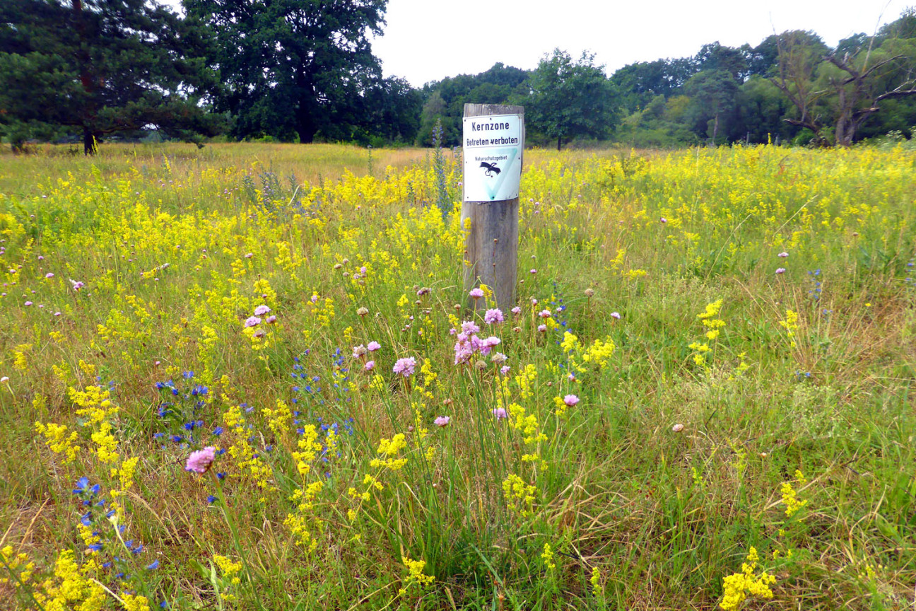 Kernzonenschild im Naturschutzgebiet Hainberg., Bild © Martina Zagel / Stadt Nürnberg