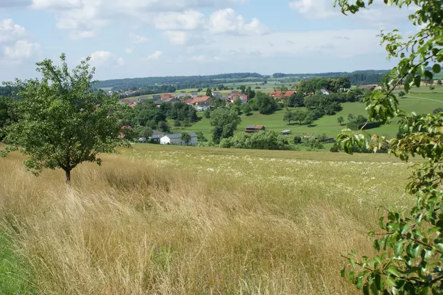 Landschaft