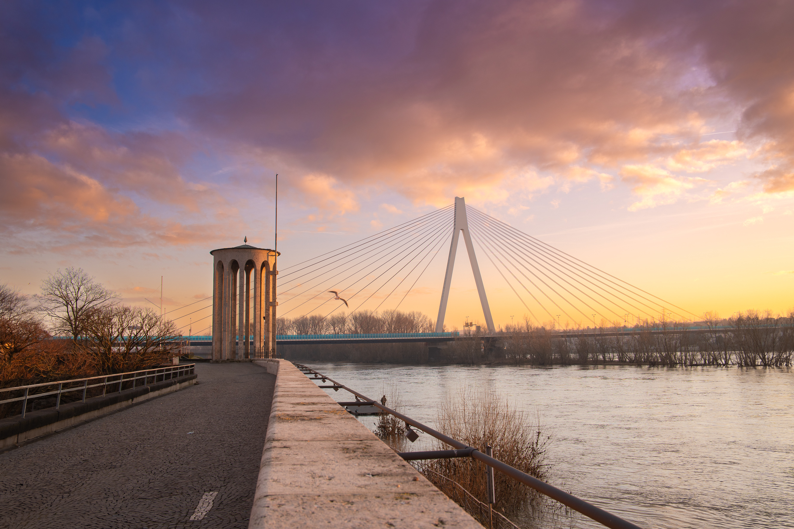 Die Wahrzeichen der Stadt im Abendlicht: Der Pegelturm und die Rheinbrücke stehen unverkennbar für Neuwied.