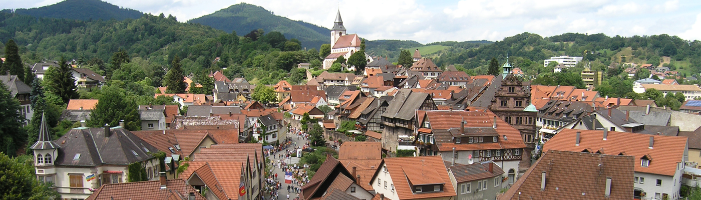 Blick auf die Dächer der Altstadt. Im Hintergrund die Liebfrauenkirche.