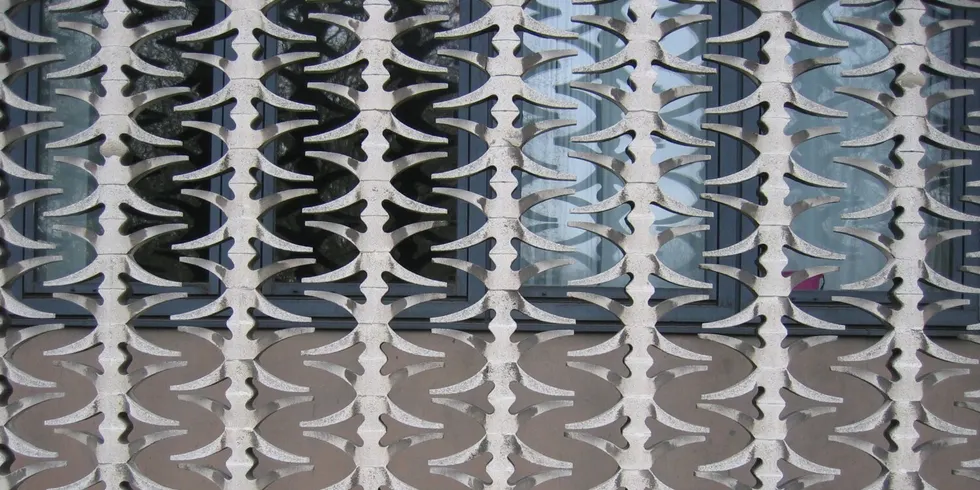 Screenfassade aus an Rückenwirbeln erinnernden Betonelementen