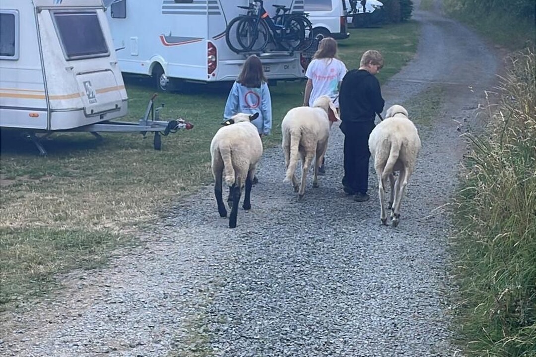 Ferienspiele 2026 IG Dorfkinder 2 3 2