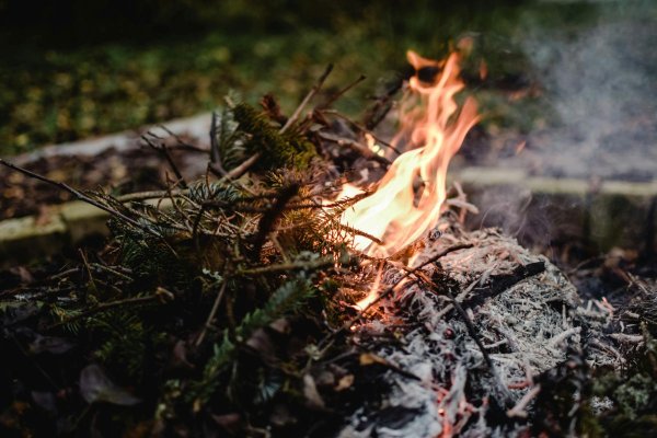 Bild Feuer im Wald als Themenbild für die aktuelle Waldbrandgefahr