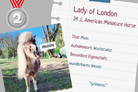 platz 2