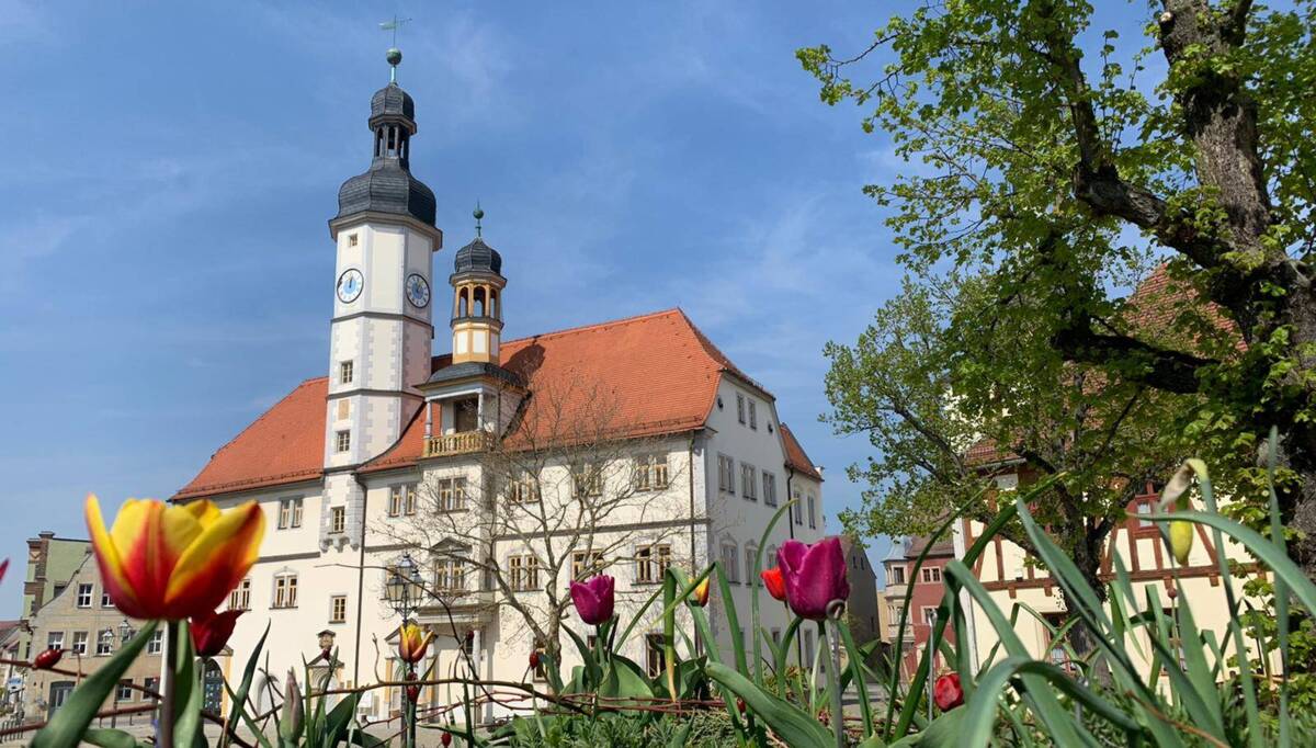 Rathaus im Frühling