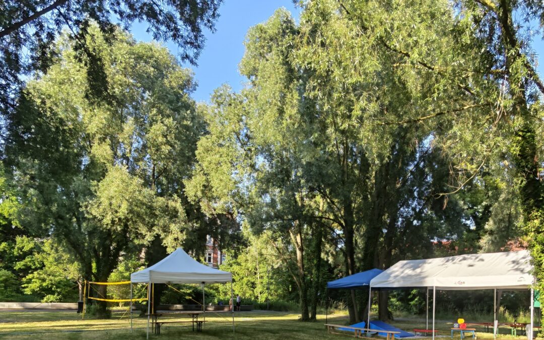 eine von Bäumen umgebene Lichtung im Park