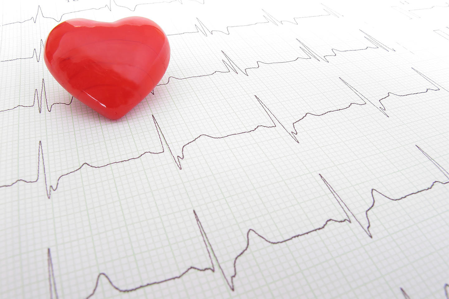 Gesundheit und Krankheit